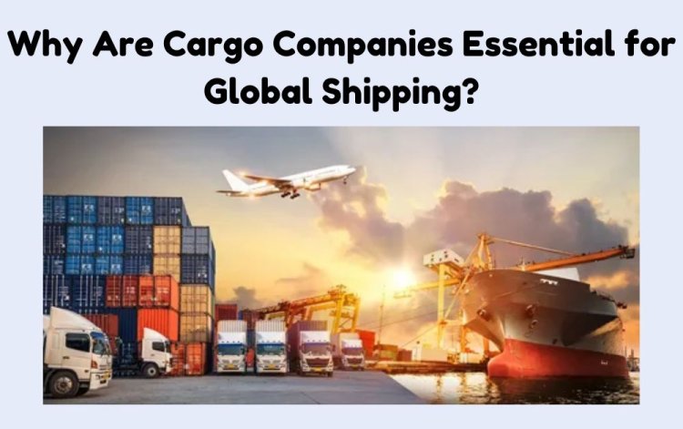 Why Are Cargo Companies Essential for Global Shipping?